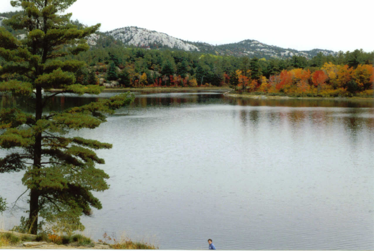 lake scene